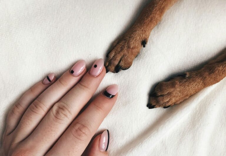 Understanding What Each of the Stages of Pet Loss Grief Looks Like