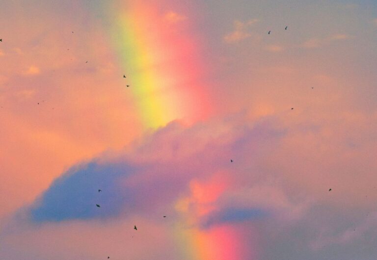 25+ Short Rainbow Bridge Quotes to Honour Your Dog’s memory