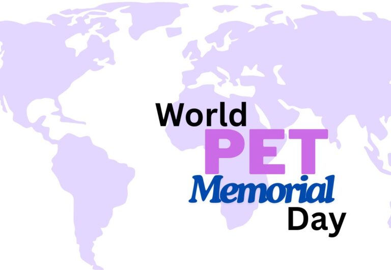 World Pet Memorial Day: Honoring the Ones We’ve loved & Lost